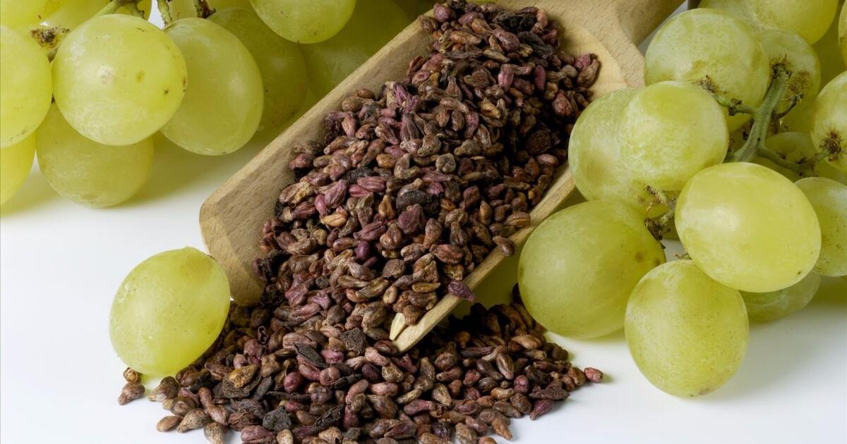 ec7e8ee399d76f1e82ebff9ba8ecbdfc562d9e05