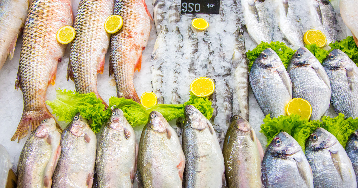 ff88b45685c330ccf7f627d30c95d8505c4d067e