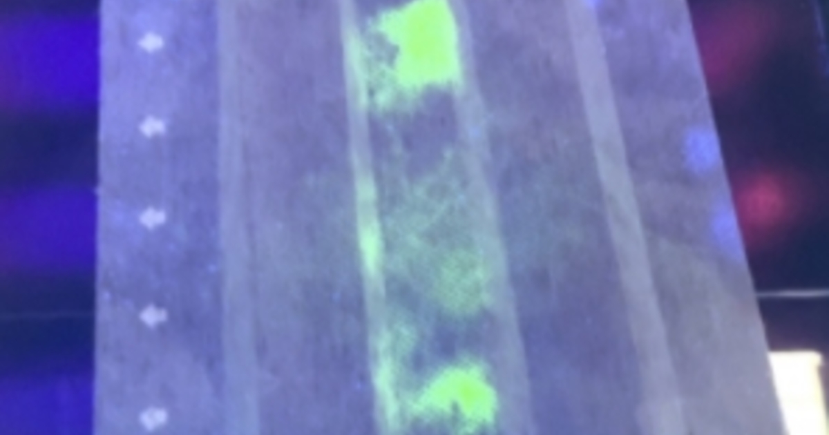 49b2e6f31296b3e60d232e09dbe58bc0a0d165d8