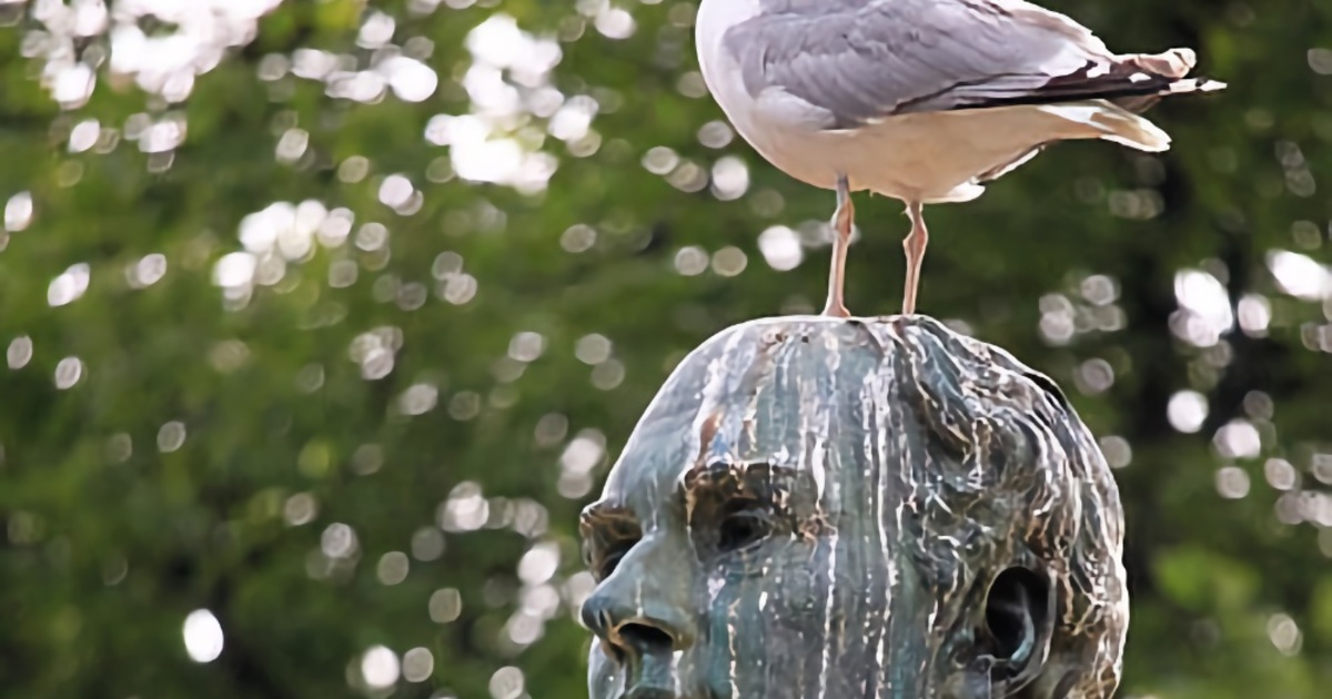 4a258d9fe03d345eec8616c1e47a0562f3316ecf