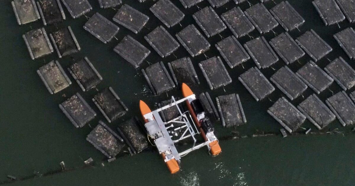 8c30257d737ee85b8aced9cae1e0267d198ab06d