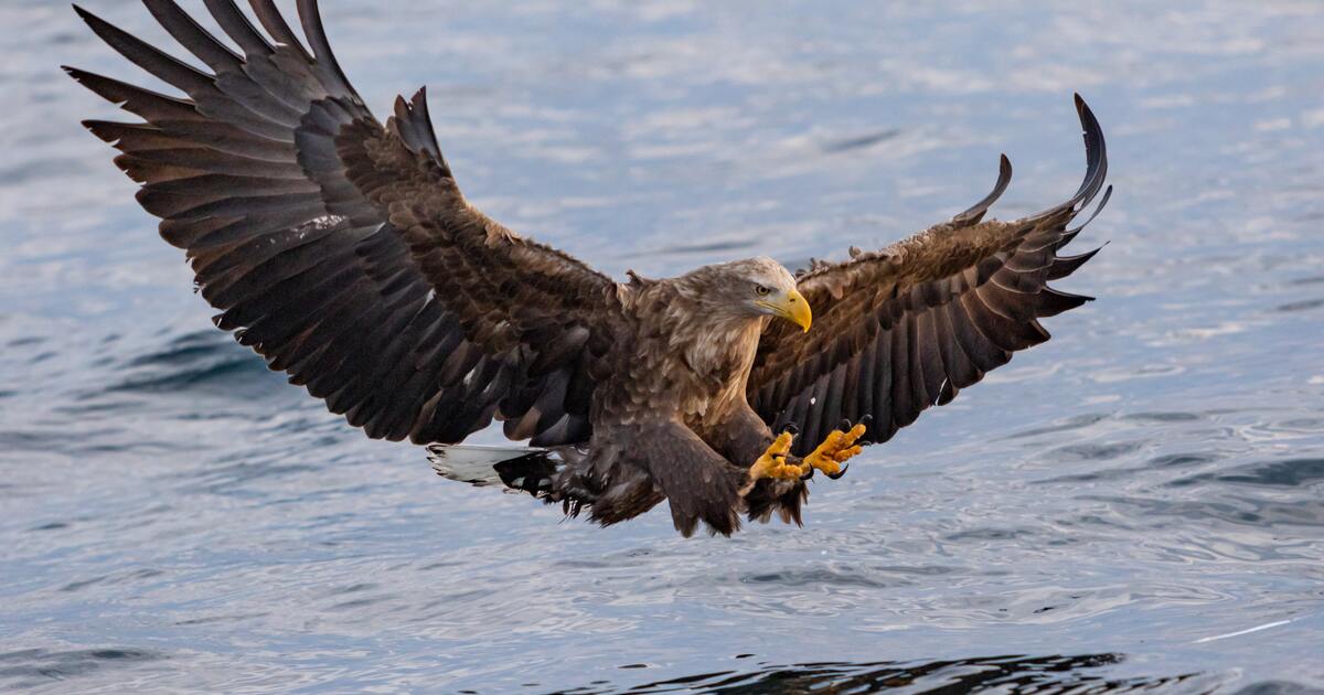 31fb2dbc3133bae26f9f095ed78a29ece61abd8a