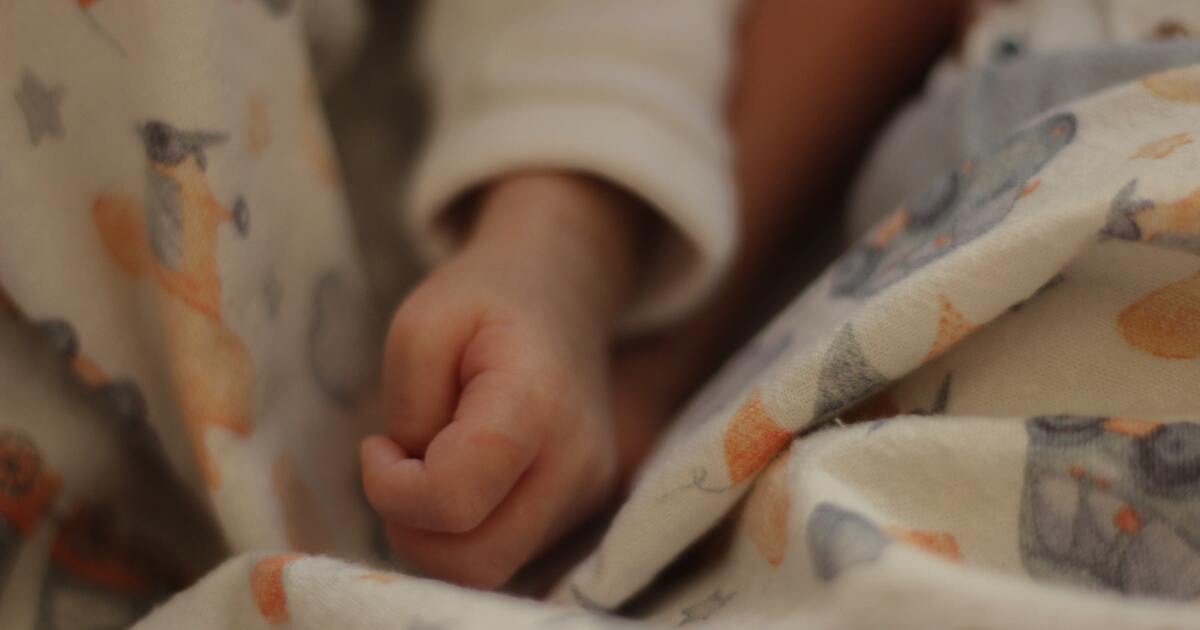 6f68908d86e0d32d9abc5a9ac8bad9dc911b3ee4