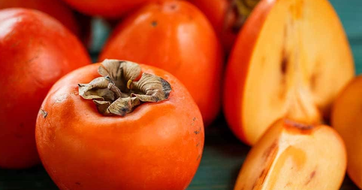 e15e1a0d1312d52d60c5dc973673284441627790