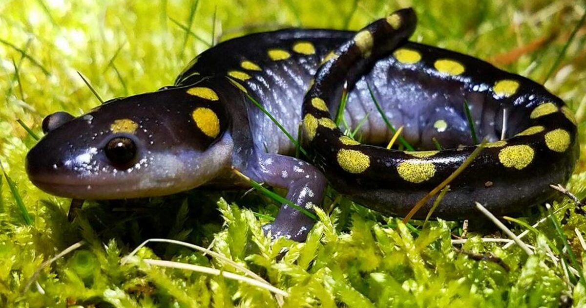 6f2ba4083dd18d170b50f25681da20f991934b32