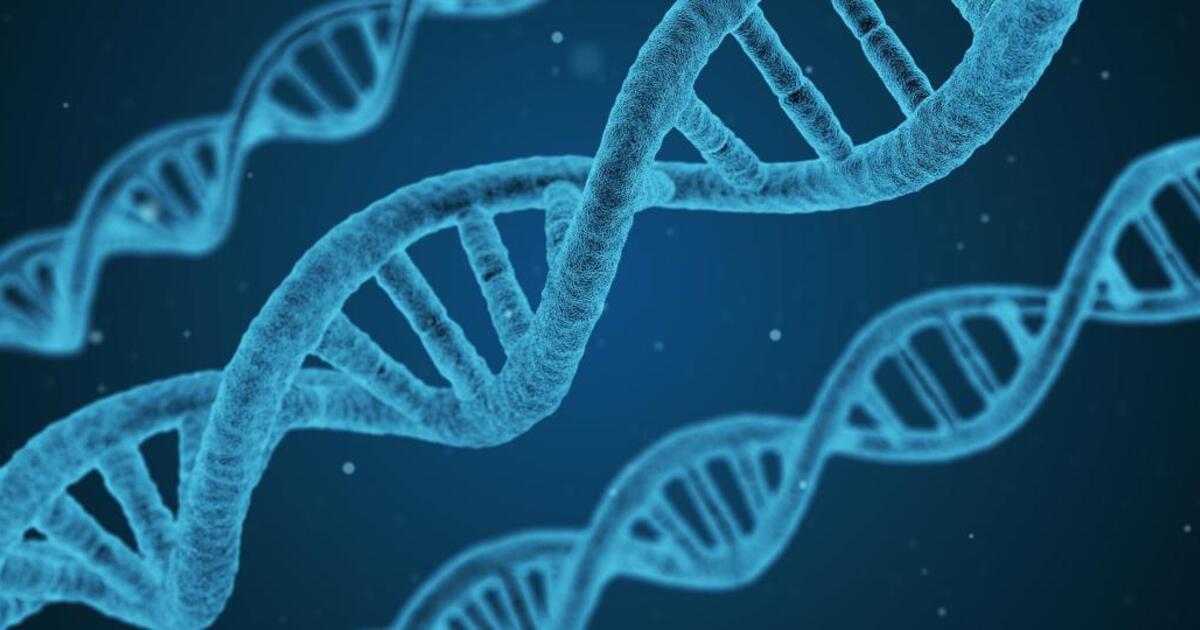 57f8ac409025459469cb54e71f0694de0ab3e45d