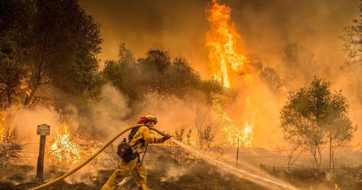 169570511d1635376673e8a85e25dbc52324f17c