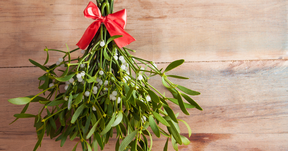 f2c01a866d59dff0b07c42ace4d7d2d2fb483c12