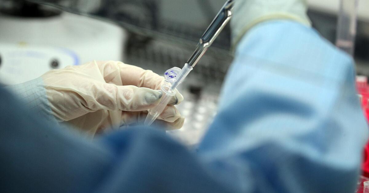 В России создадут химиотерапию против коронавируса