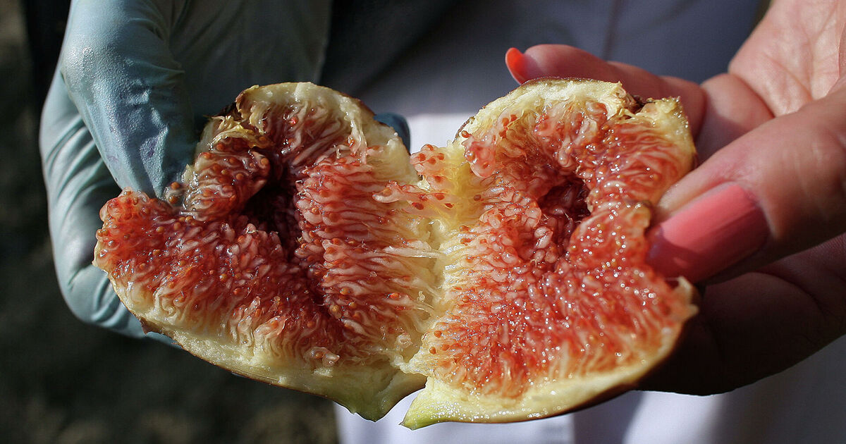 2c1c5fe19e19f22a1f1c7e91645b1548b5fa56b4