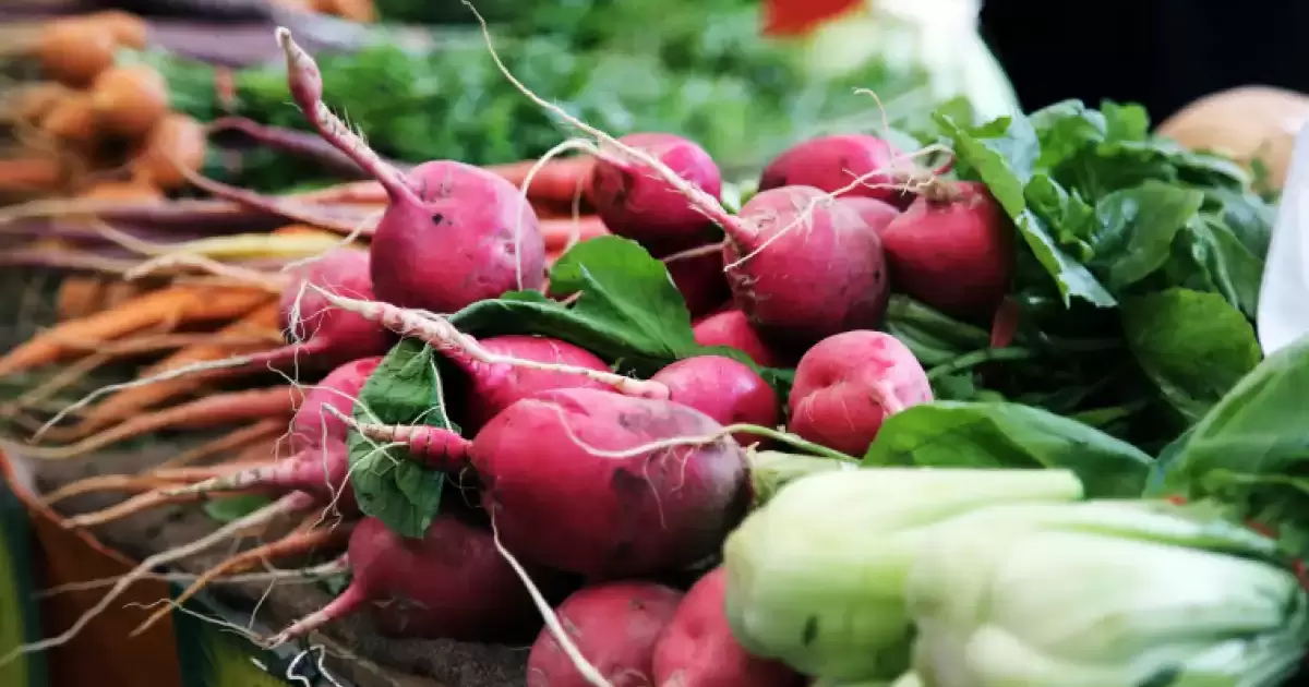 994e4ac2a8719e802076bd90fac99ad7cd5588d7