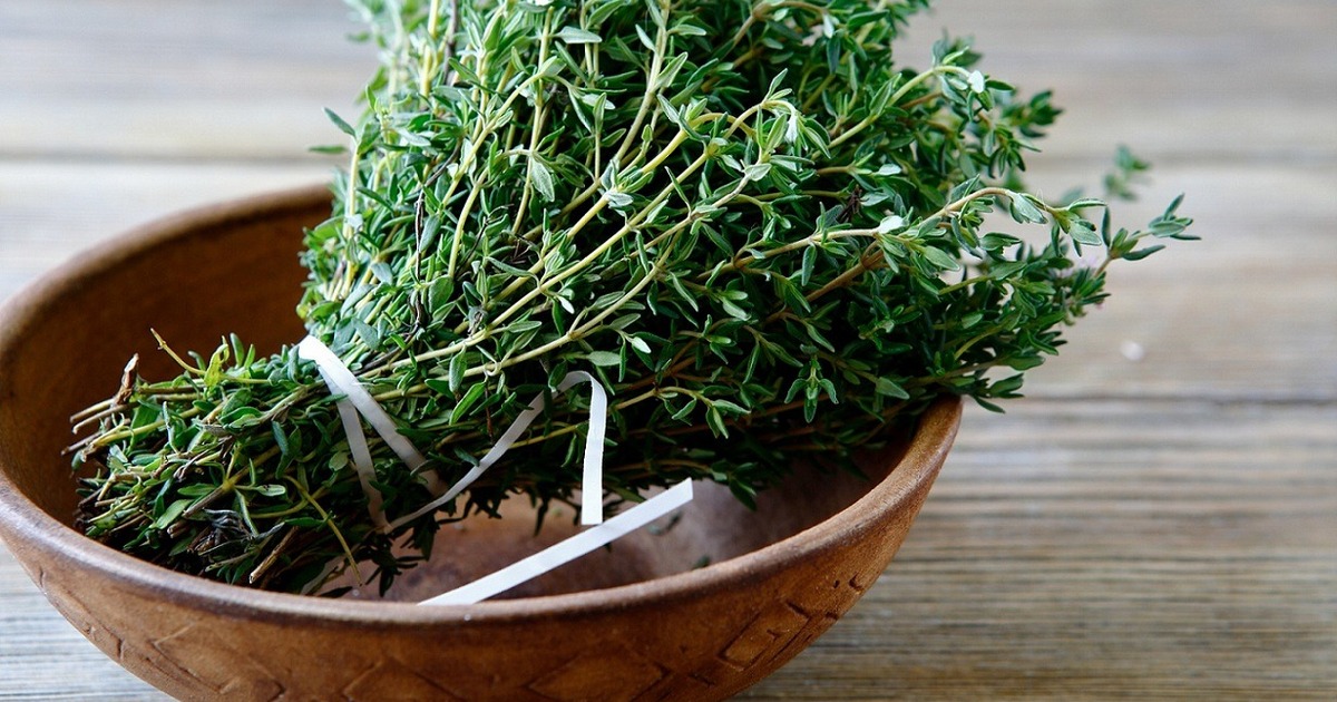 07cbde8b06dd6ae6e46dc5de54dfbc61bcfa8b98