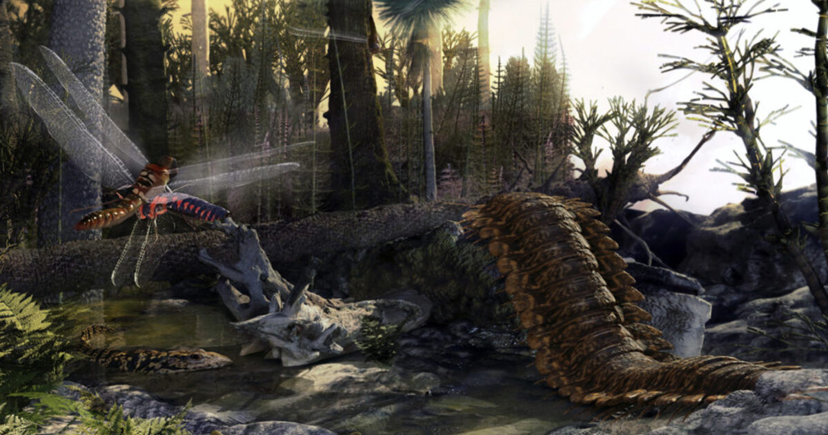 476664ca9d96d188253f28957499759e8c2ddebc