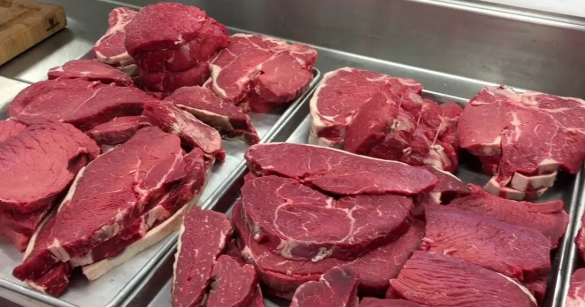 d392c2af3fb372254f6bf3d7d1d161702e2653c7