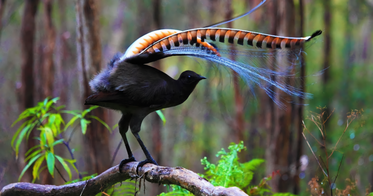 786e3d2a8ccb1dfa758e33817a533328533a657f