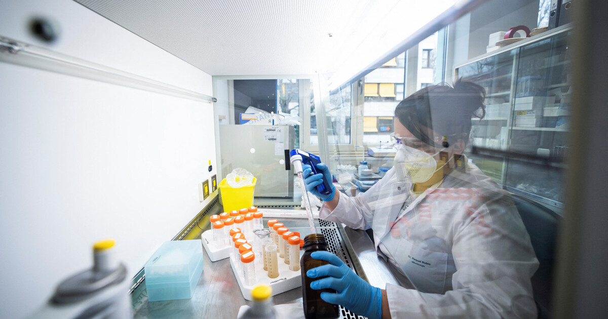 50f33c9fc335fc81127b4b4161c9bf443272db93