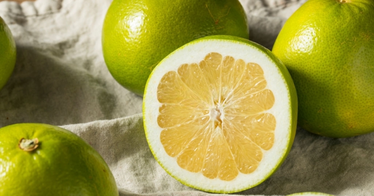 48ab440a1f7320c886c8c5b6e68e4d2e99bcf44a