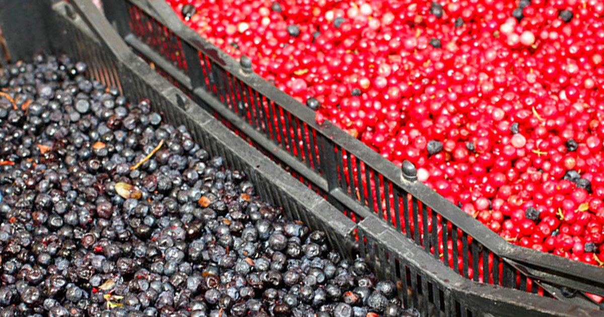 fe3e9b997efb2bcb89e5955570025705f8ede783