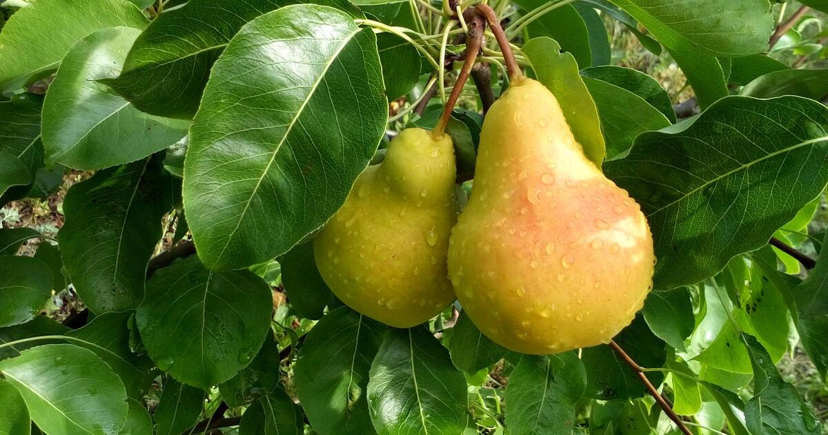 03248b042d6d0d9f6471bfc33d08070f8c4dcca4