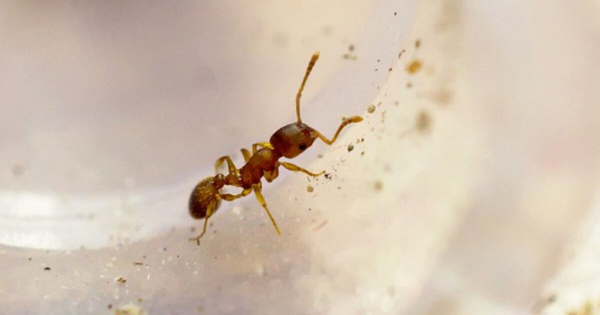 f3778cfcb91897f78f498cf3bdef3cf7cb685870