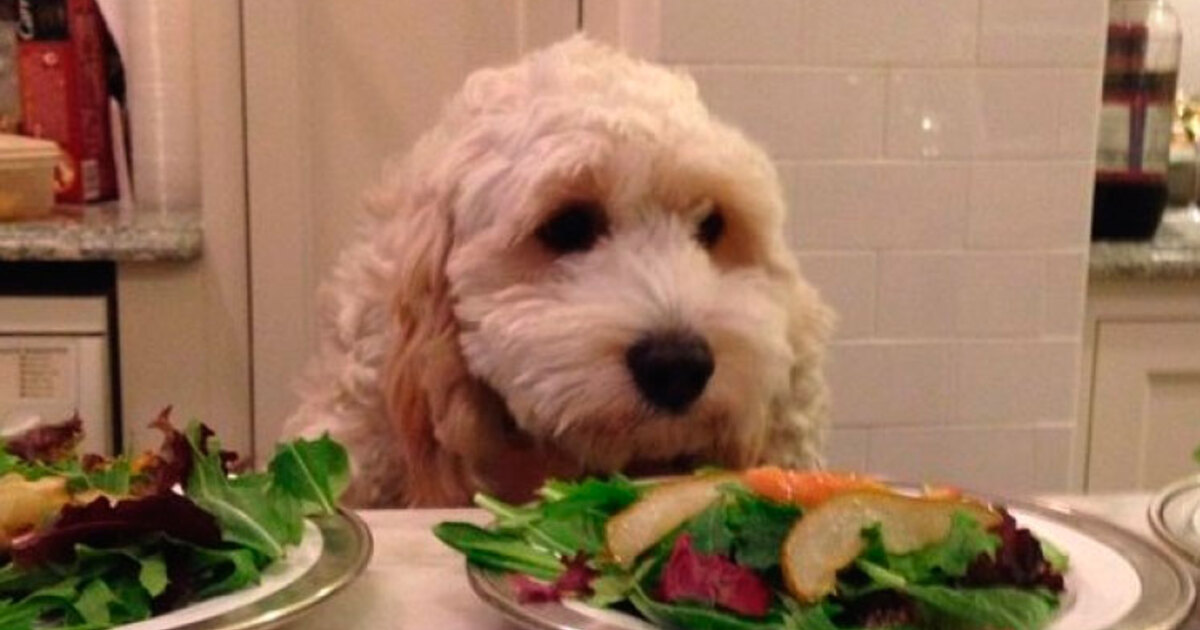 0d120e6def2bb01e2251cd1e8679ae2daaf8e1f0