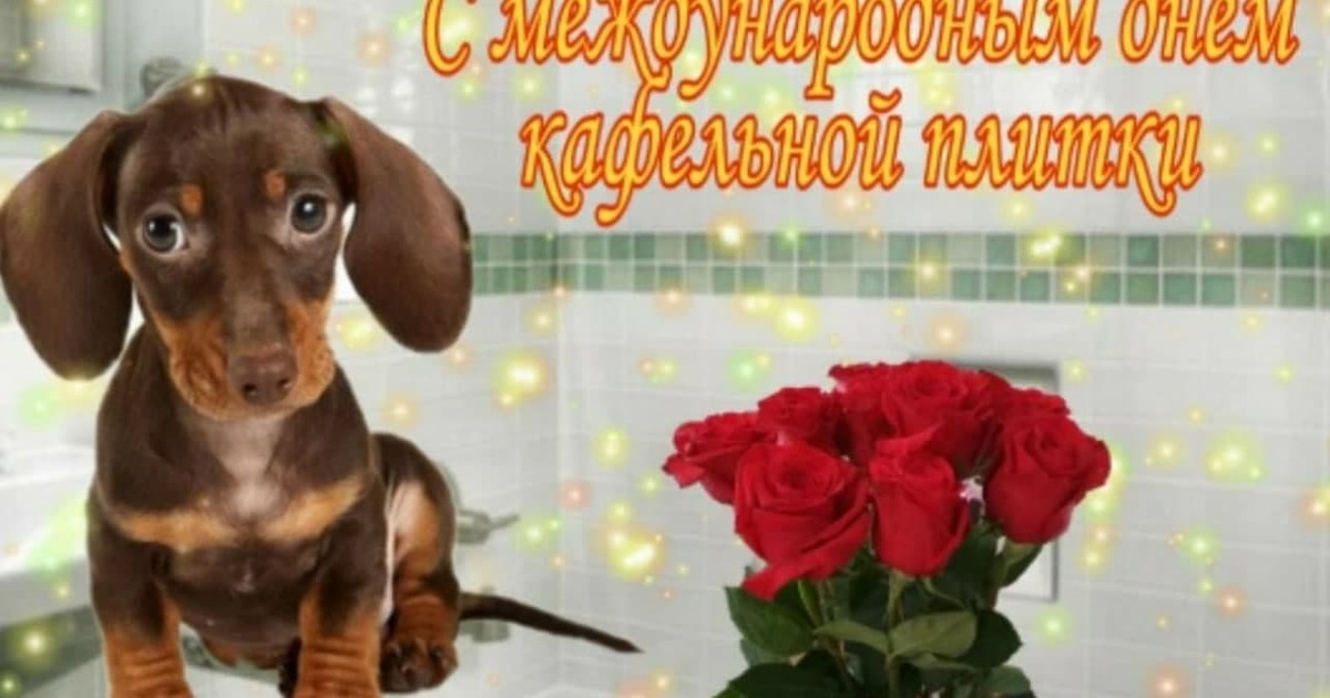 87721d19bc6474b4b62447fa8024e0de174c8bc7