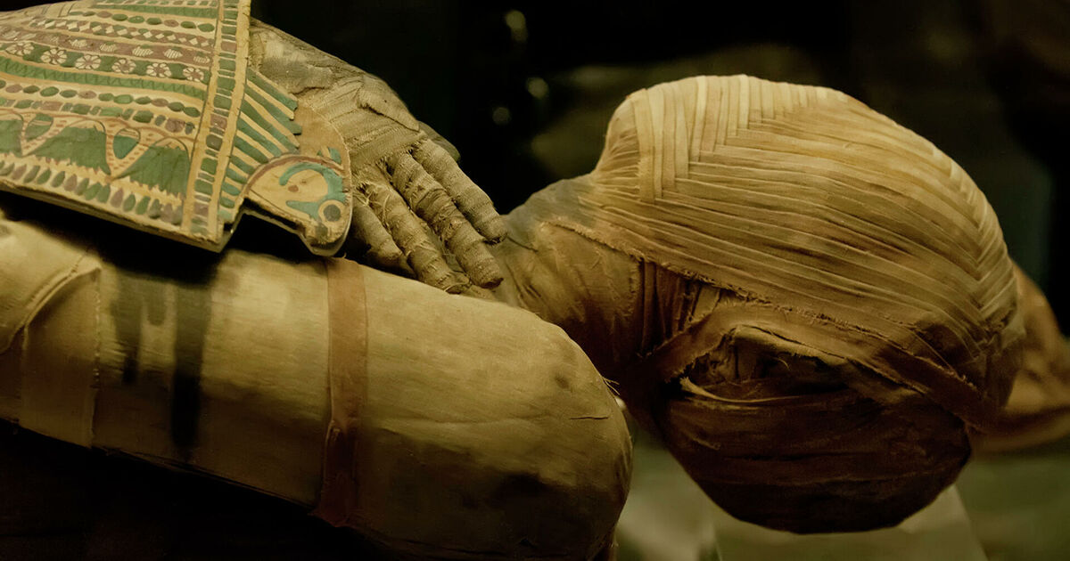 Ученые получили ДНК мумии благодаря вшам