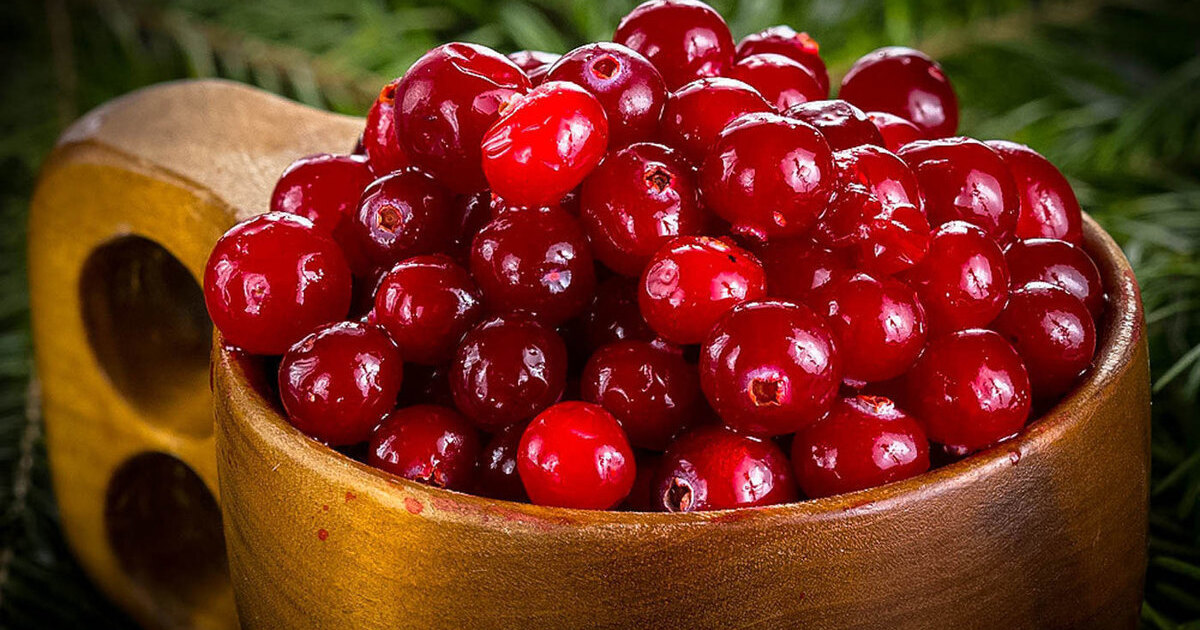 3c195f0a9600615513da9491f168816254fd844d