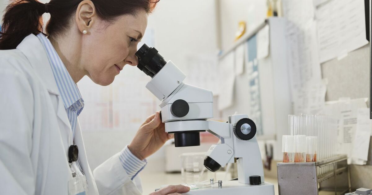 5a65efa44181b160540bd1dcf952685350456939