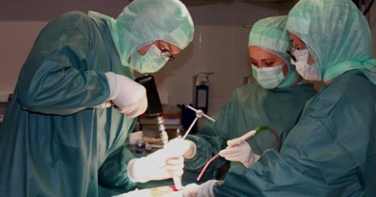 e5c3bf8294ef591a4ae136aa64d5a6261fbe423d