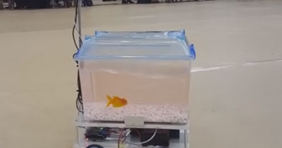 a46c2d6bb322c1ec8b8def58b44d2a1e3df4a171