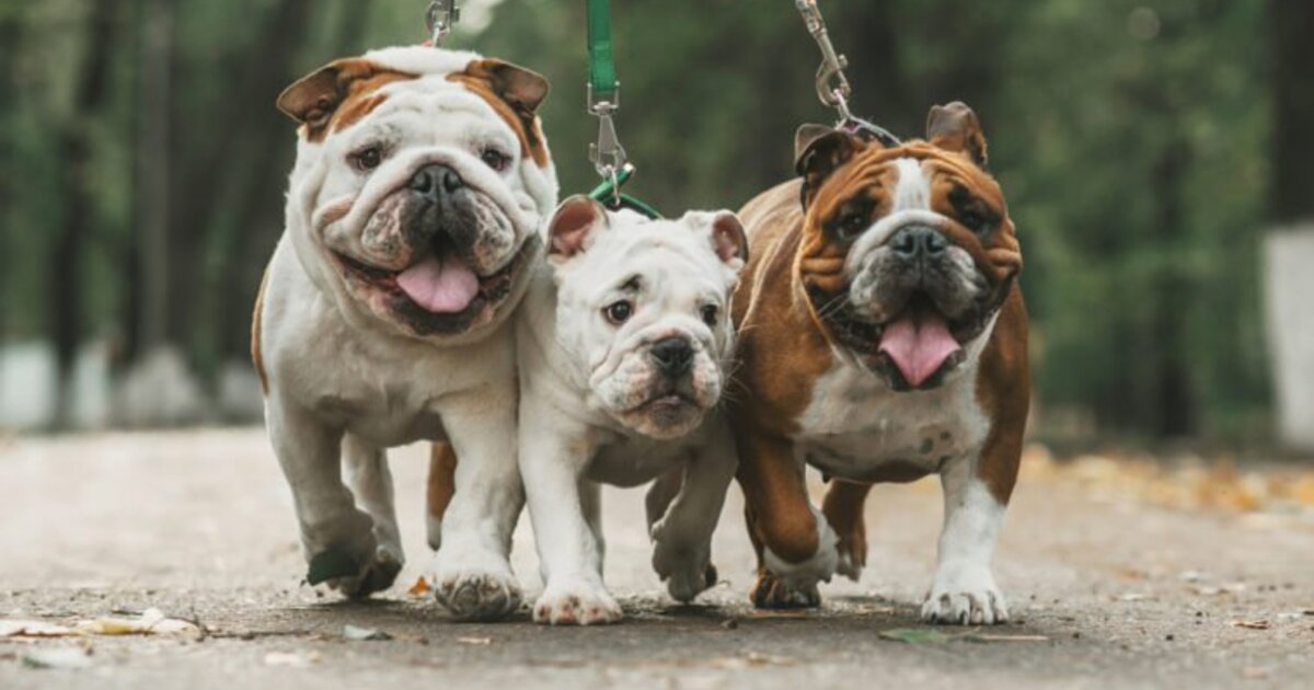 ea3dbd224a3834d943457fa796c3ab8040b03373