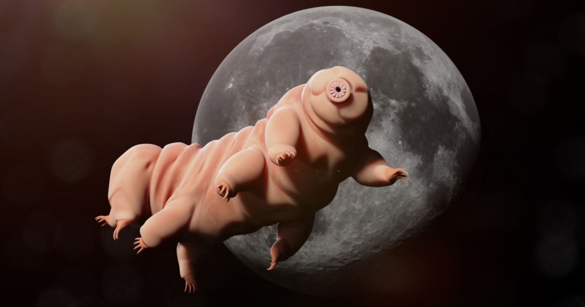 41e278160bd4a55f2a0c9a0294642f8fb2ed1e1f