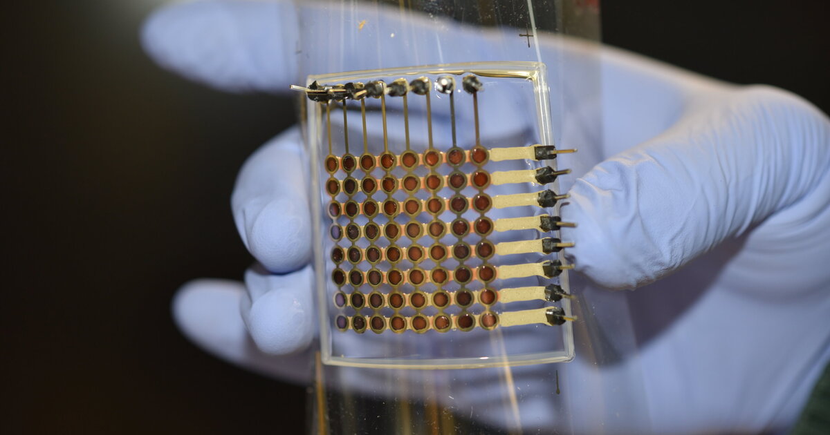 bb91e78d59fa2d09dc3ddae20e6887b521896ff9