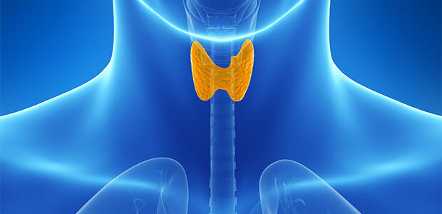 Названы неочевидные признаки проблем с щитовидной железой