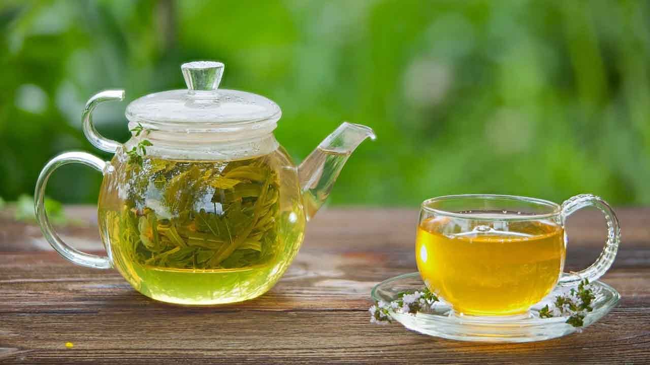 Зелёный чай оказался напитком, продлевающим жизнь
