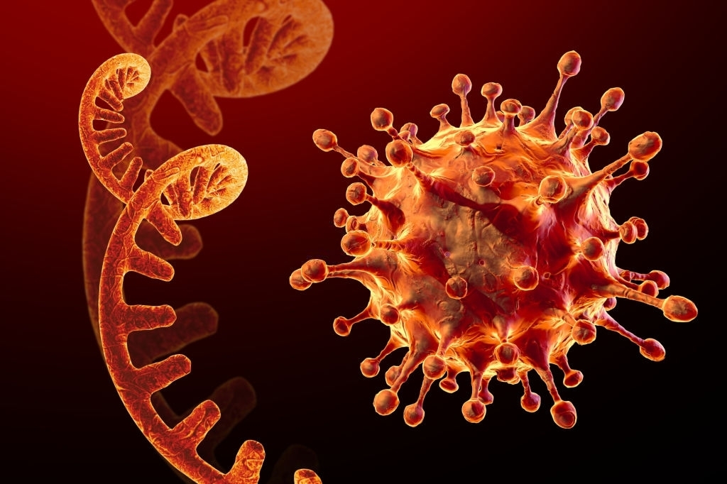 Учёные предупредили о новых опасных штаммах коронавируса после Омикрона