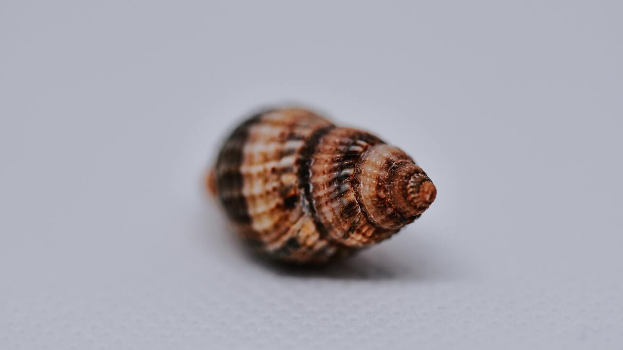 b6c44fbd30d2e1478262b3de71bc4aaee41a71fd