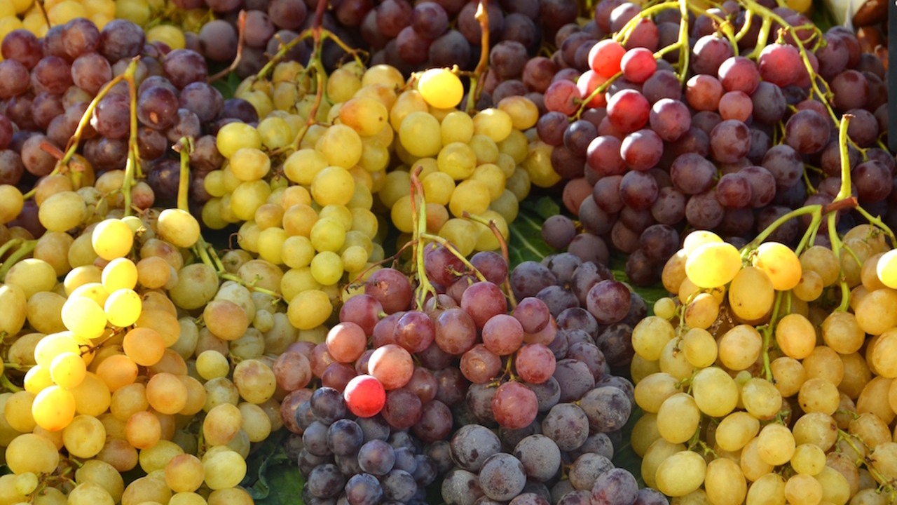 42d73d9b8d37ca537d6264f70b9f3fcfe5f76212