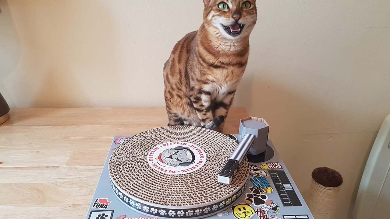 865fc39eac4c0b69b1b5277bee488013dcec6c7a