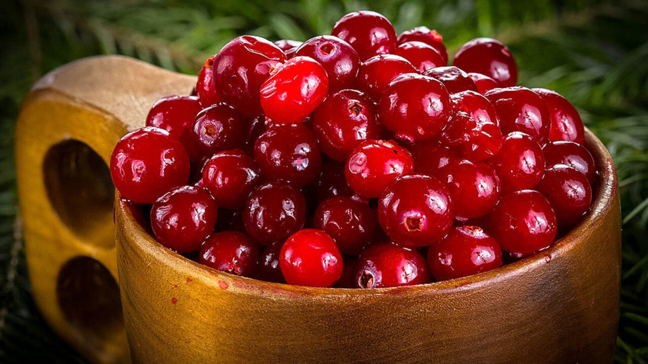 ягоды клюквы вкусные и целебные. ягоды брусника и клюква. клюква кладезь витаминов. сок морс клюквенный. ягоды клюквы вкусные и целебные.