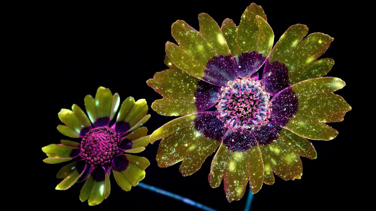 2b2fd6f4140ab420d18b464a653e9c7fd6b32694