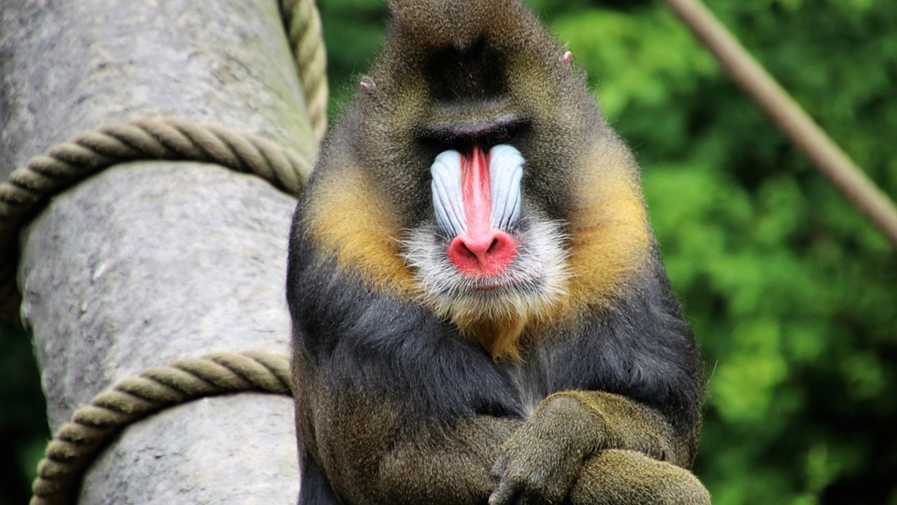 d8a64026189f71df832cfe875612c082219342af