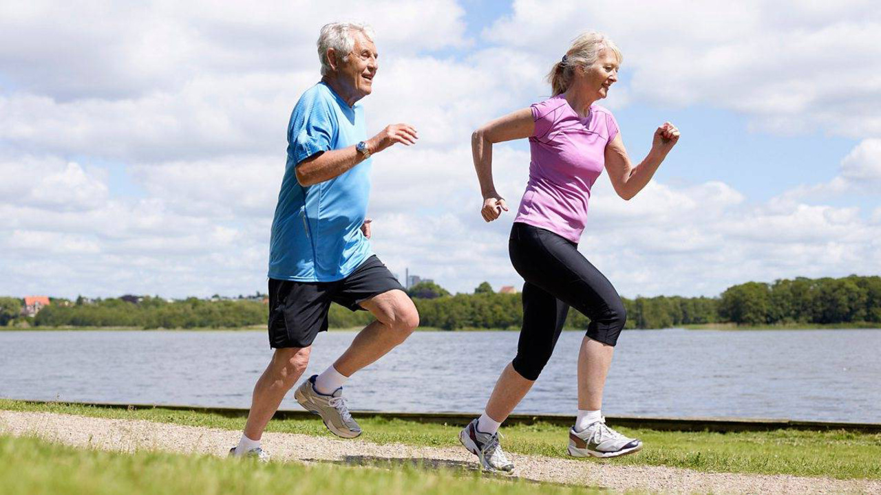 У растений активный образ жизни или нет. Оздоровительный бег. Занятие спортом. Спортивные пожилые люди. Пожилые люди занимаются спортом.
