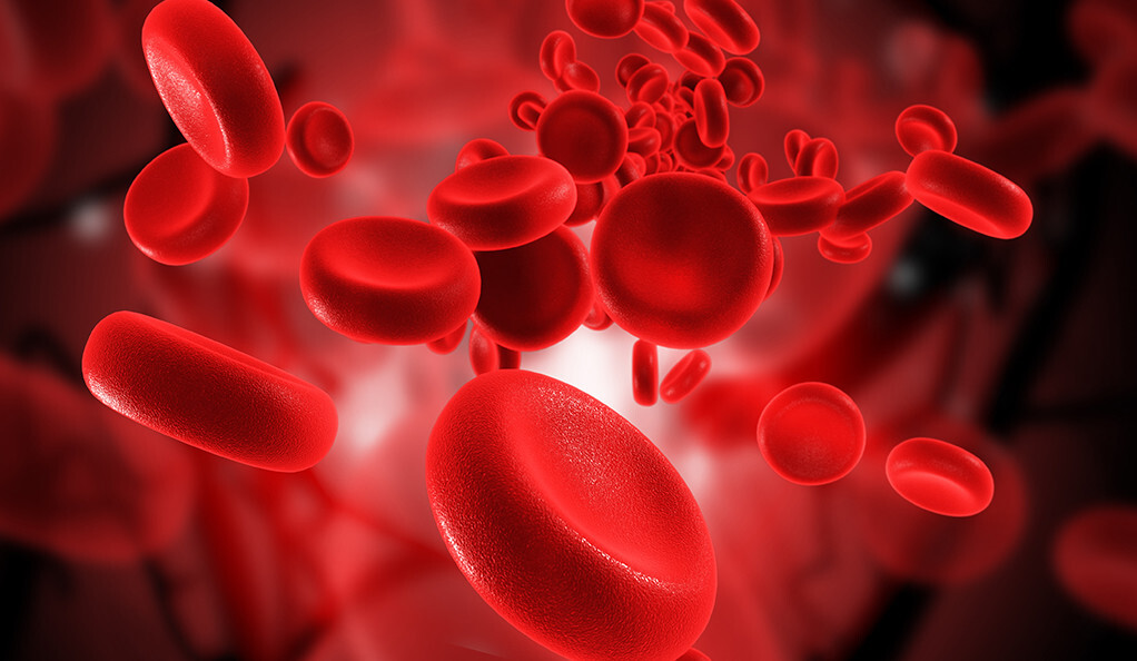 Обнаружены белки крови, влияющие на здоровье и продолжительность жизни человека