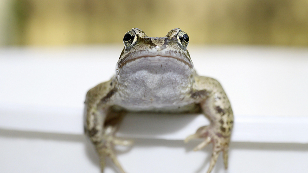 b8be0e5c007d0180a03cfbbfc03340a740dc2541