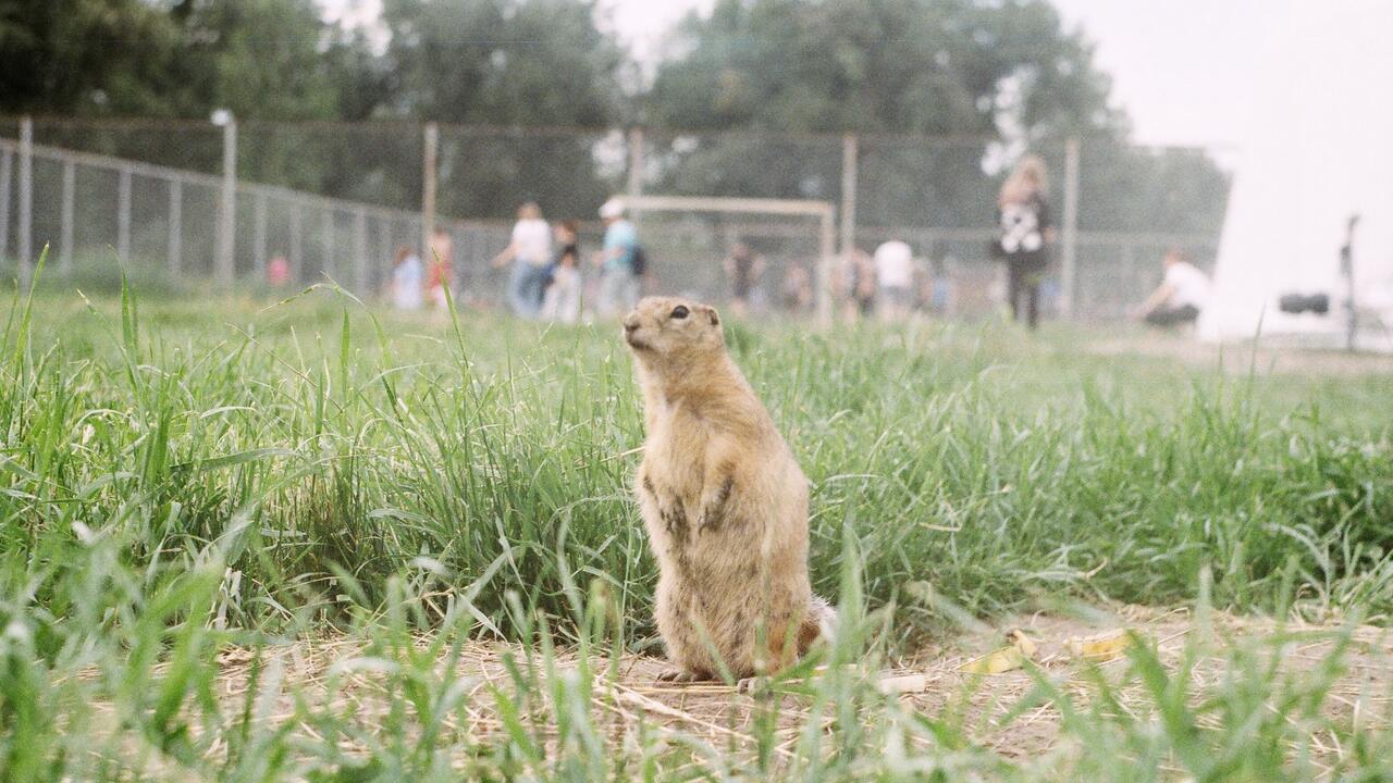 3054a19cf90fd3f4a9163f109e5c04e88d8aa7fa