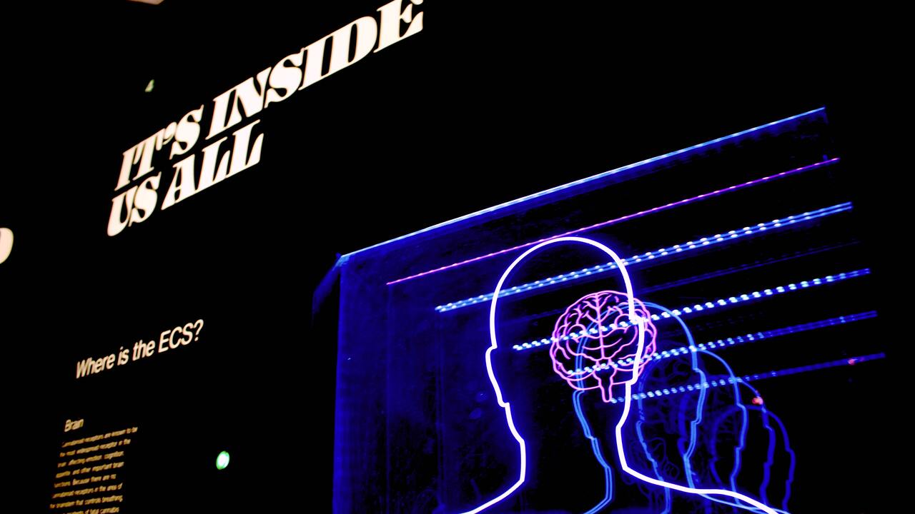 d10d9a3732dc102e988a87f754ebc8c279eab320