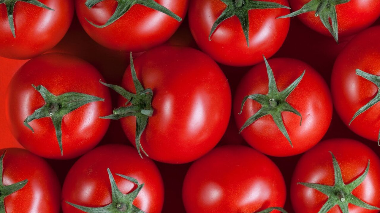 b008e49bcf78e047faeefe4e6980914c0ad7b3be