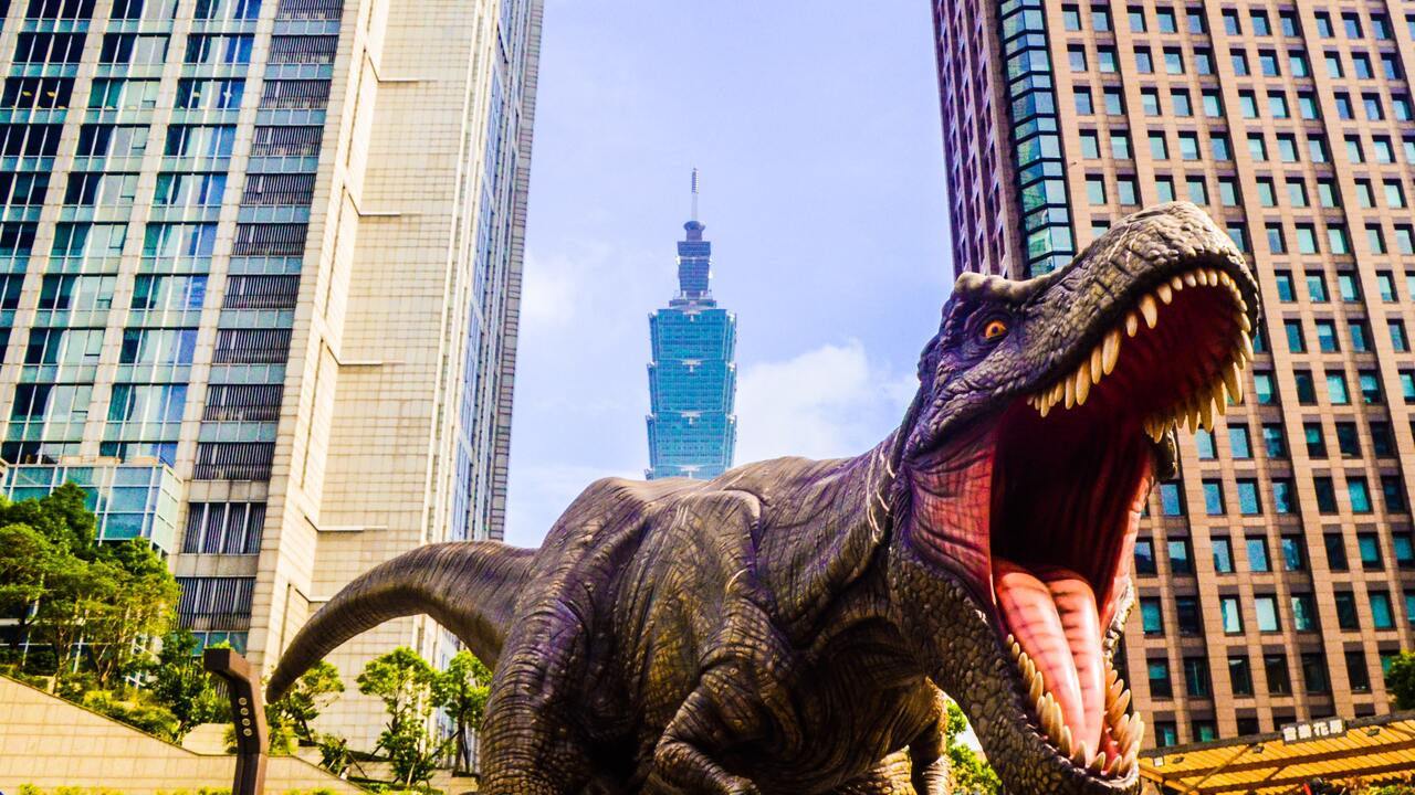 12e28ed6acec17f2d9733006f3994946cc0795ab